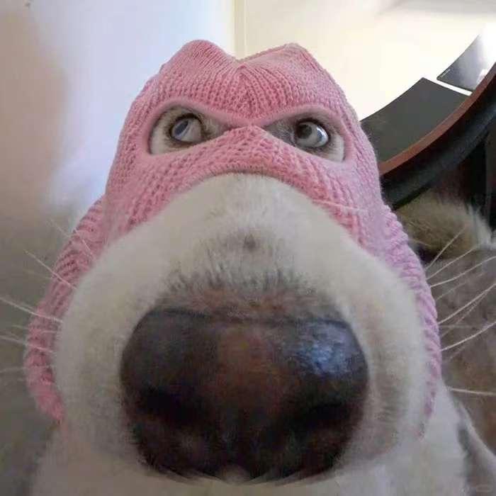 l l l l l lu
