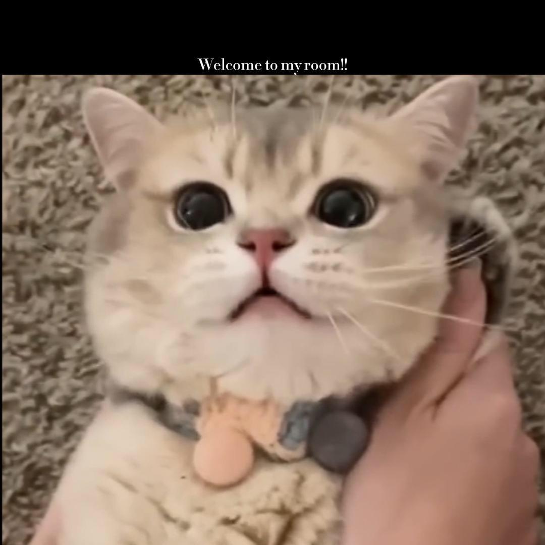 源生乐