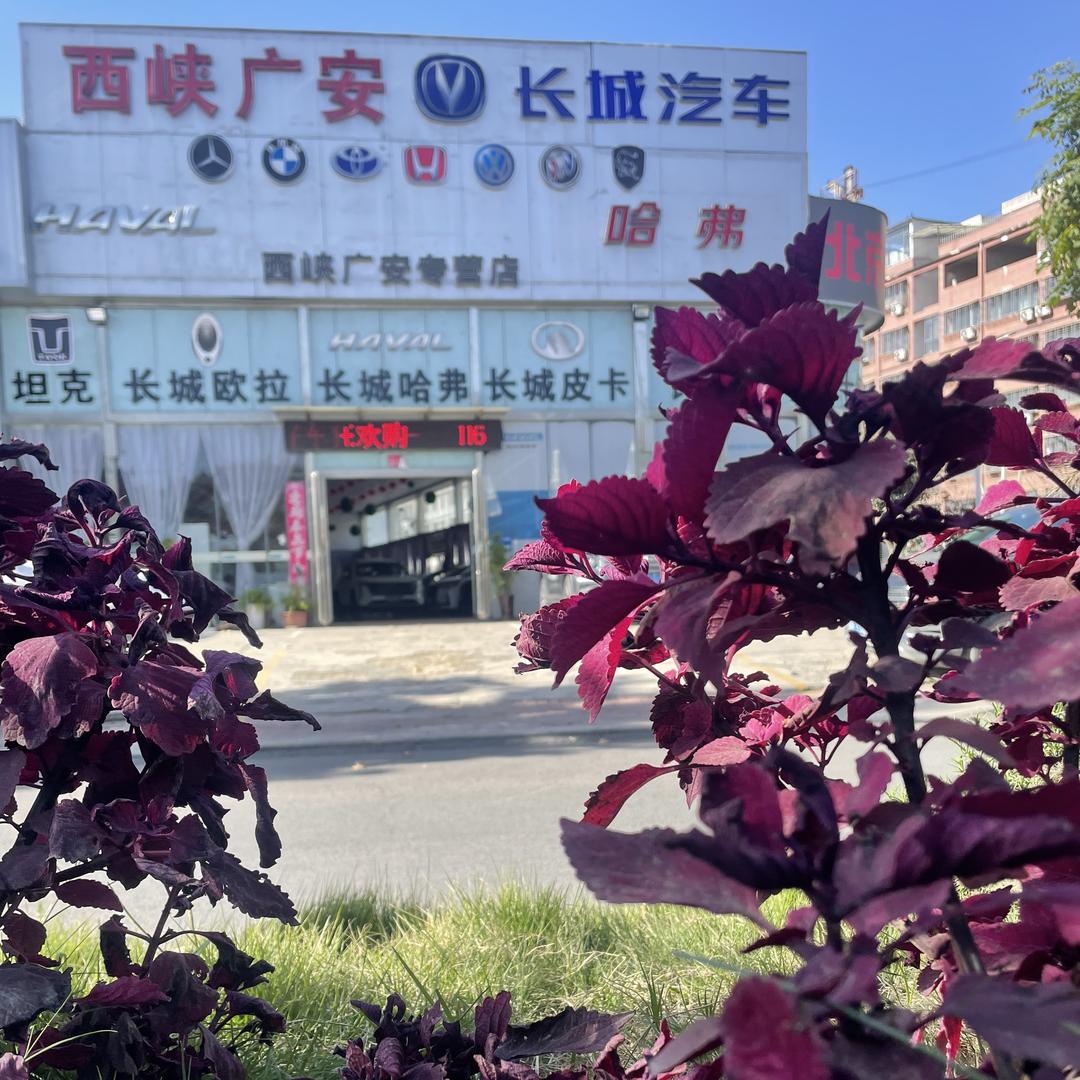 西峡广安汽车销售服务有限公司