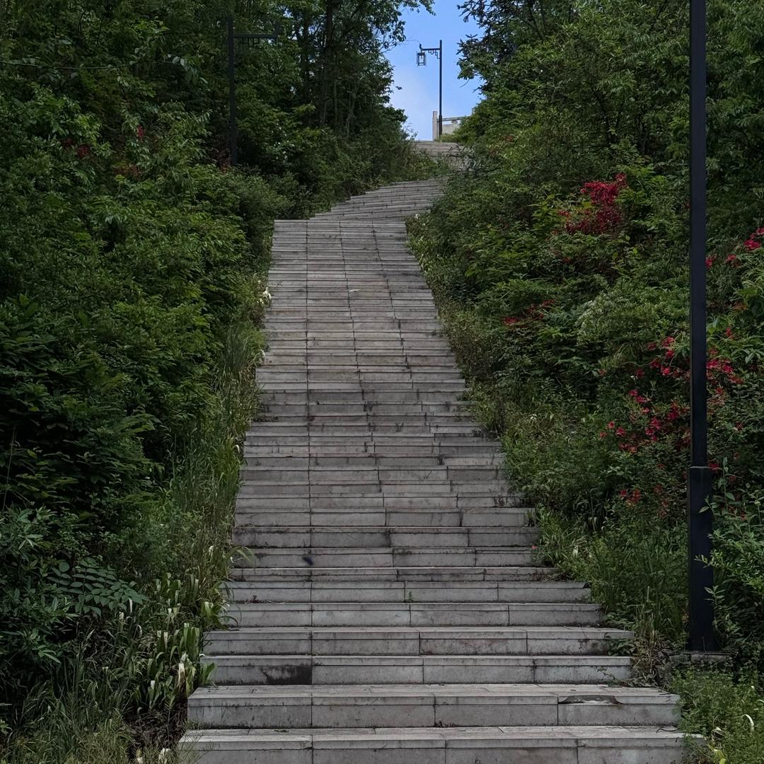 毕节知光学校（谢主任）