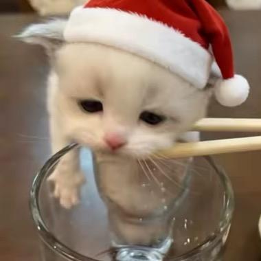 e。
