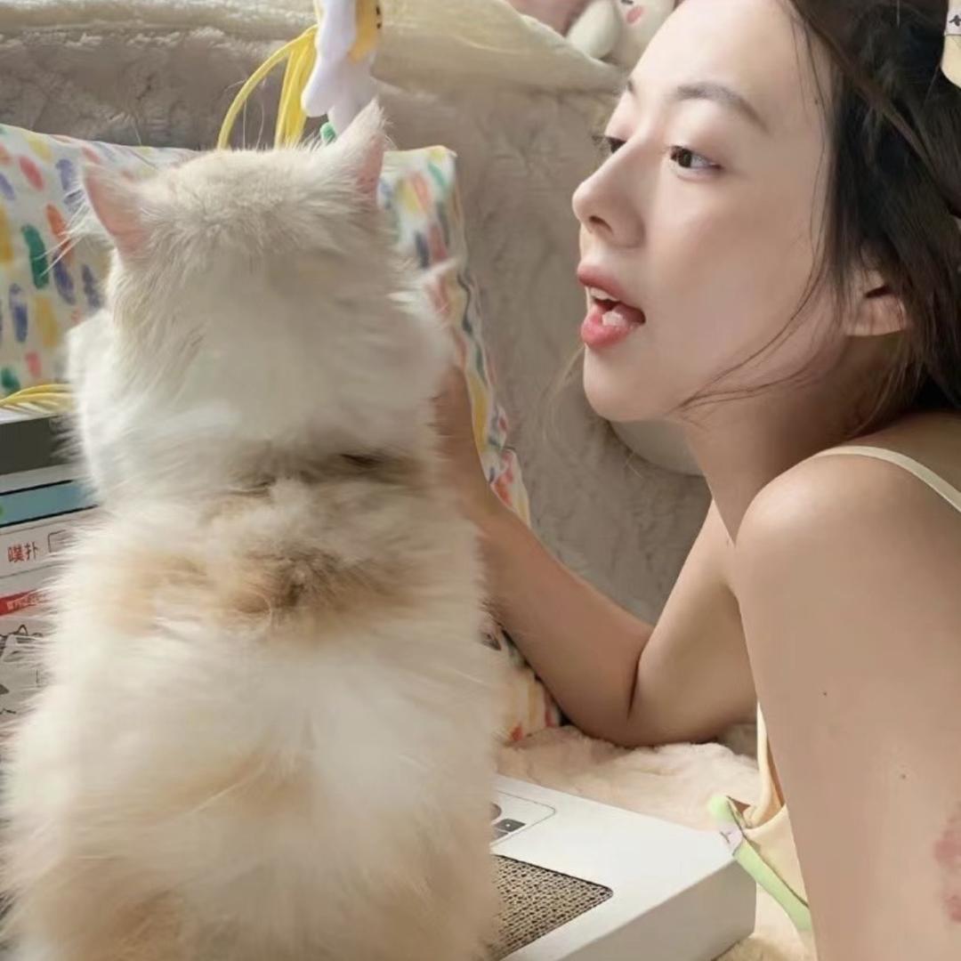 我的佩琪不见了