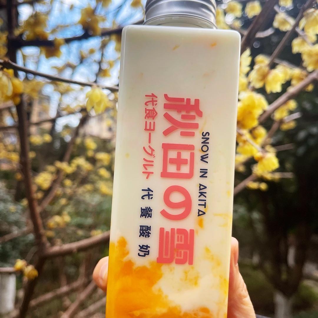 秋田雪酸奶