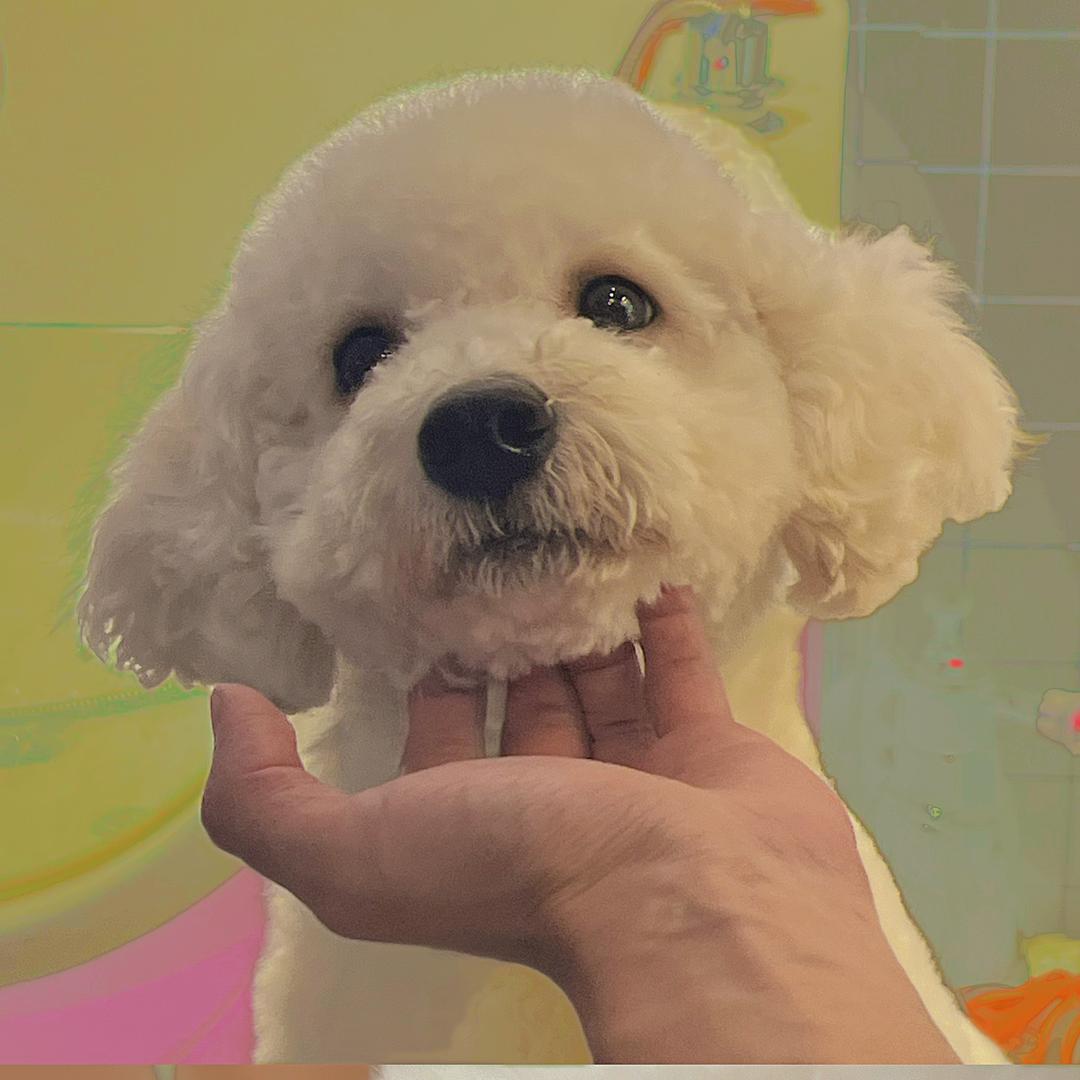 丑丑'~