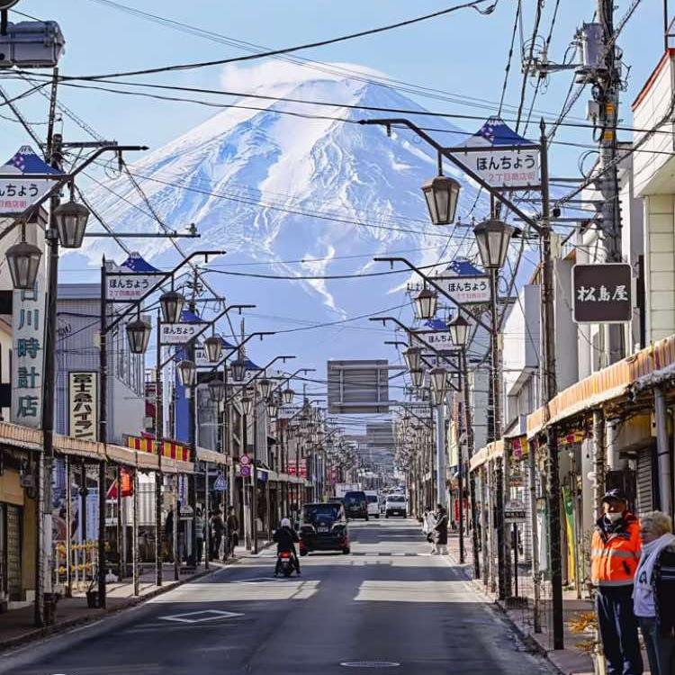 澳琪森品牌T恤-艳