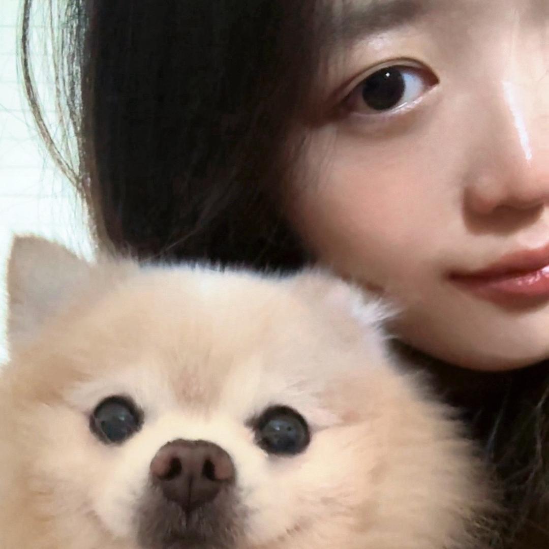 陈相如