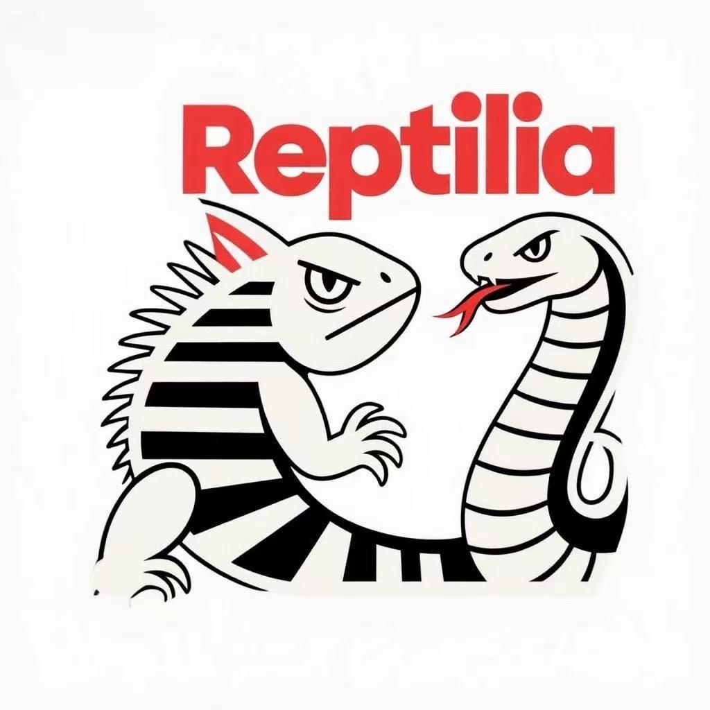 鳞爪宠物工作室