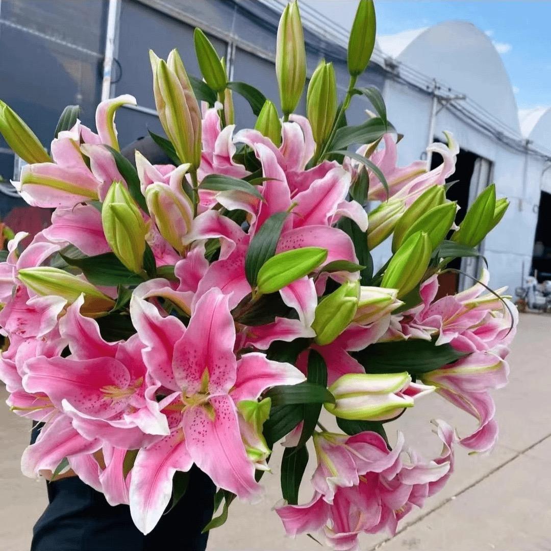 连熙花卉坊
