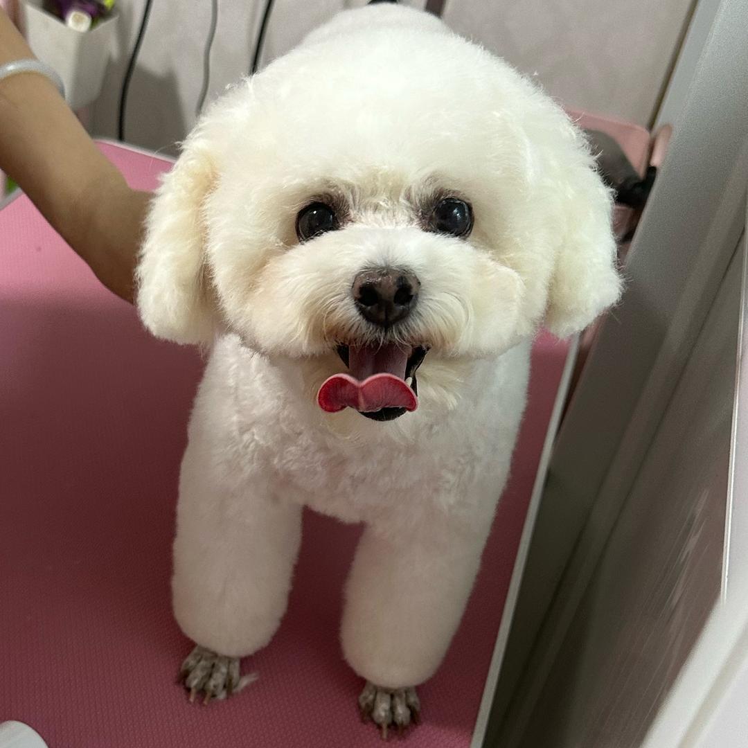 🌈汤圆麻麻