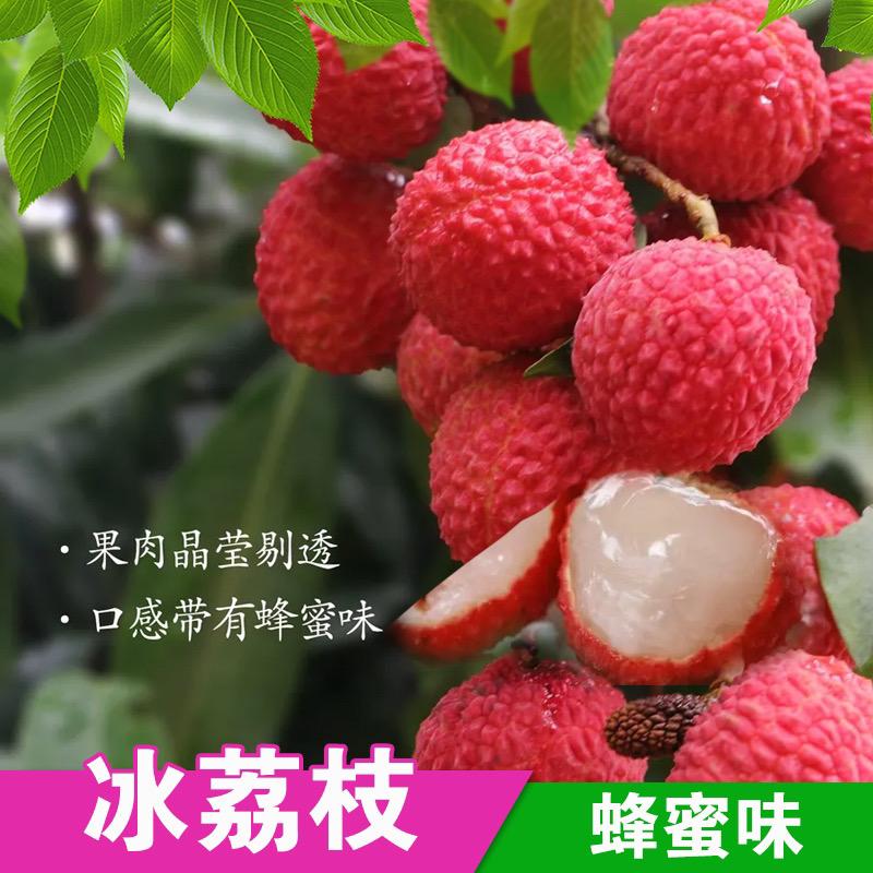 垚鑫果树苗木专营店