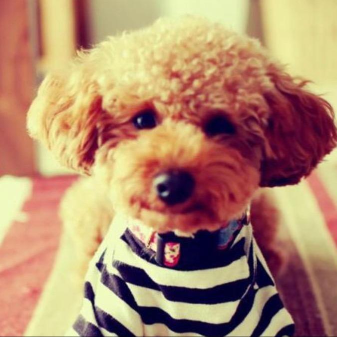 Leon_
