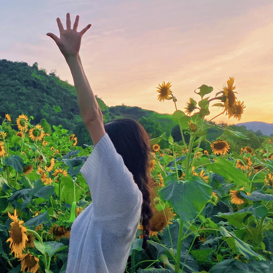 温妤🌱