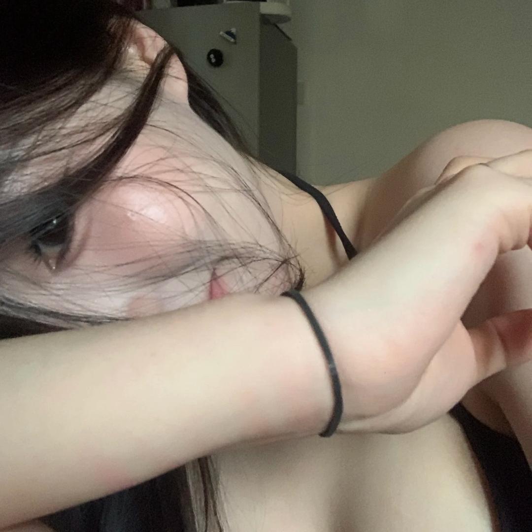 你怀里的猫K.T