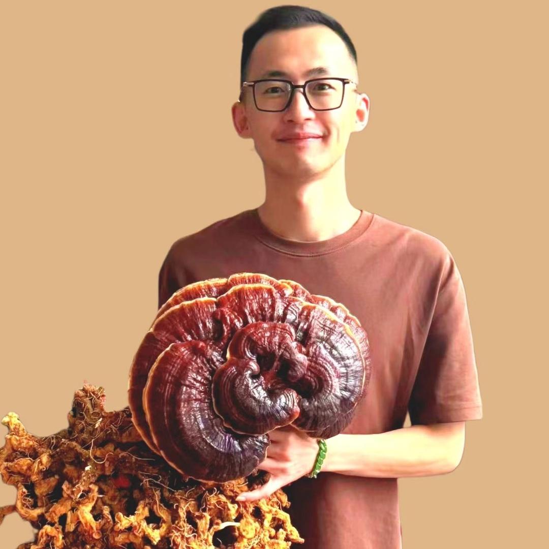 泽凯滋补高原山珍