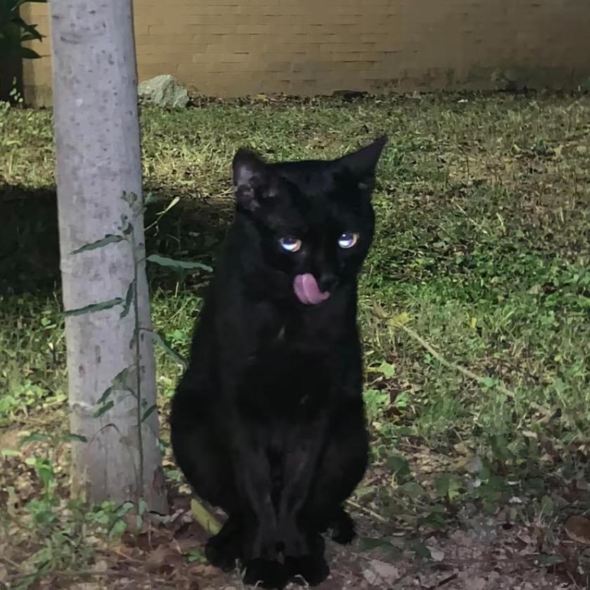 汀兰