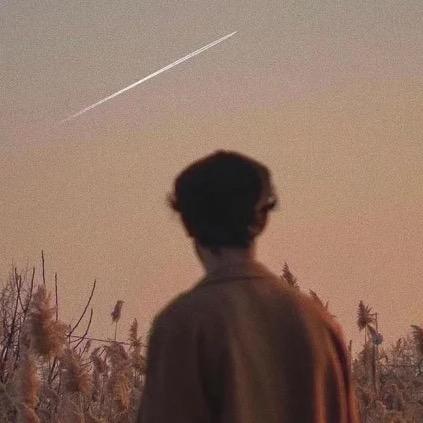 北岛Travis
