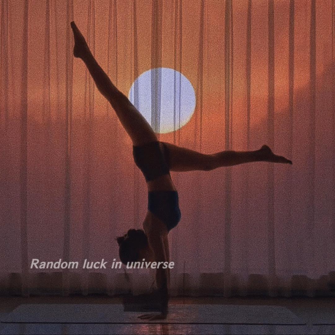 _ 🐬