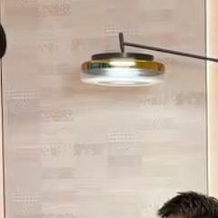 唐老板400万粉丝庆典🎈