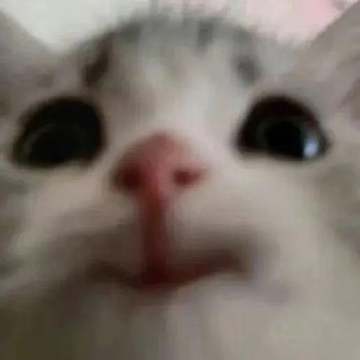 呦三