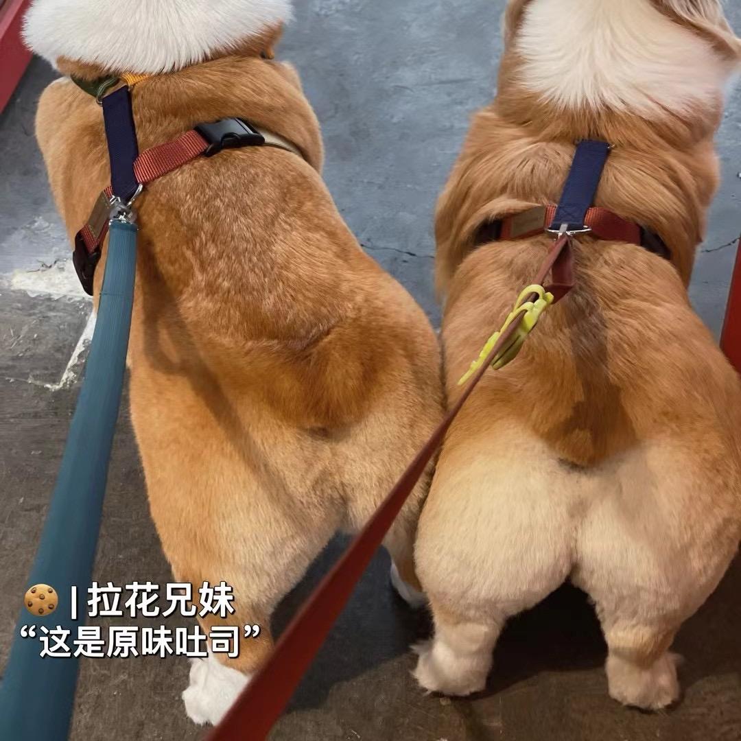 是lucky也是翠花儿