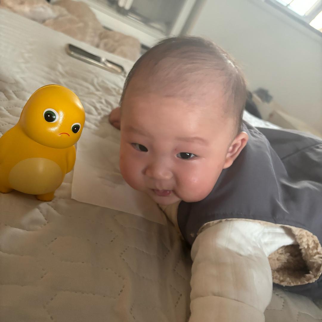 米旦