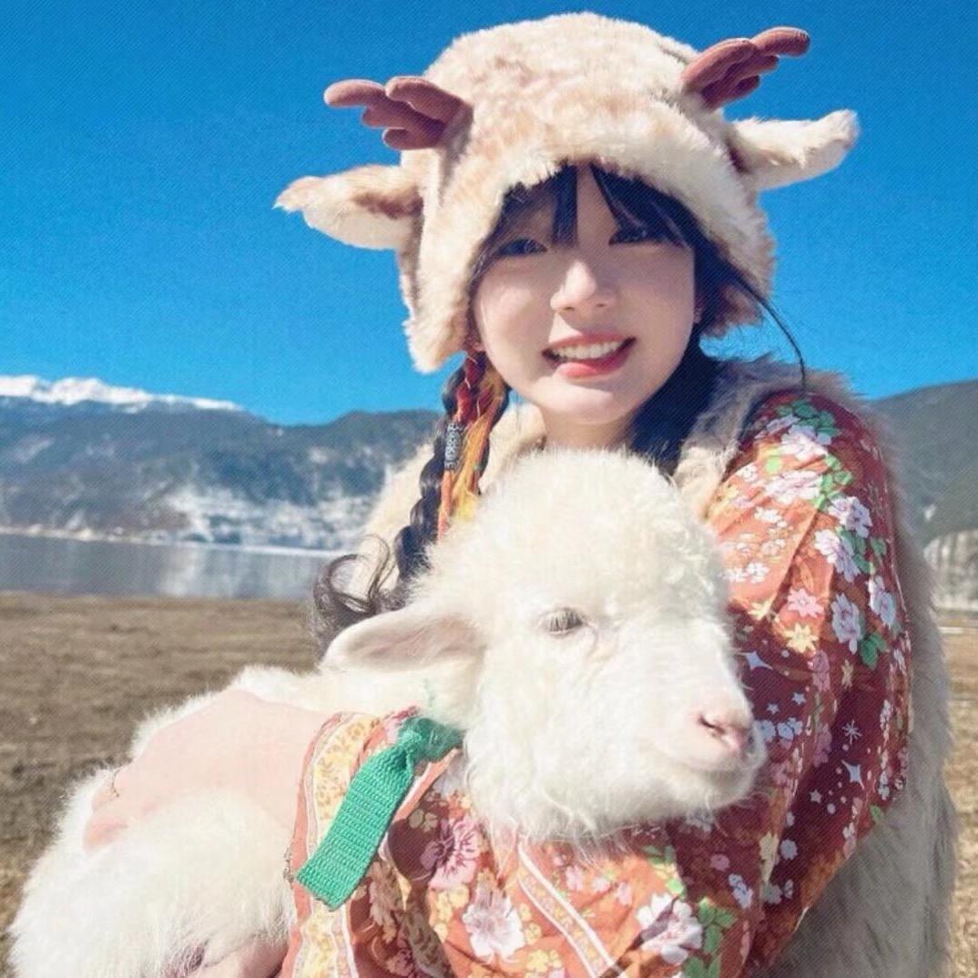 夹心小羊
