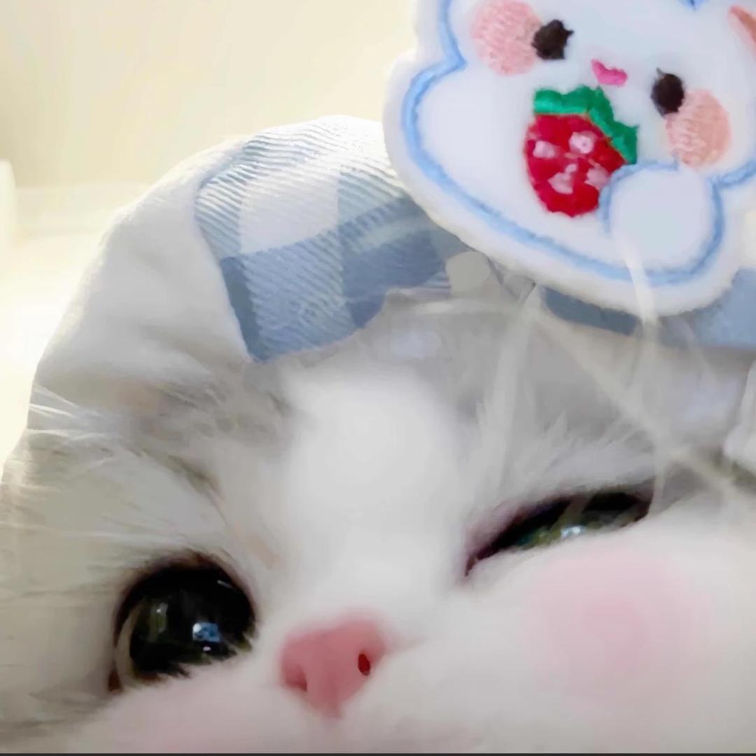 我不叫恋爱脑