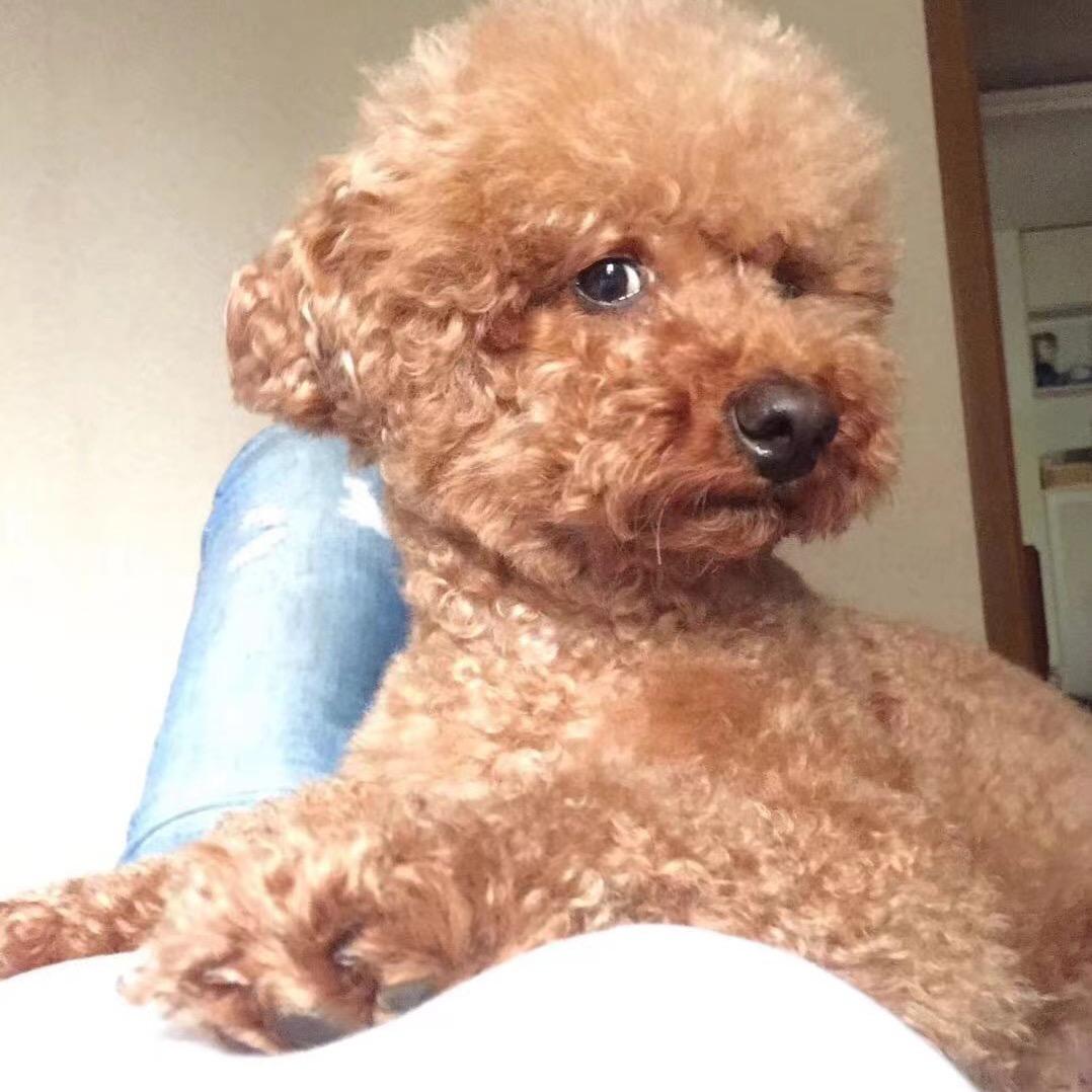 coco