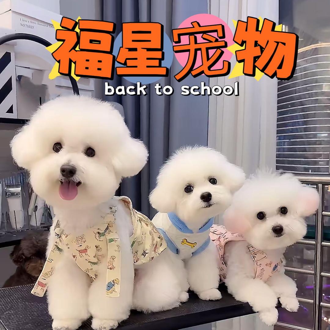 福星宠物（祥云路店）