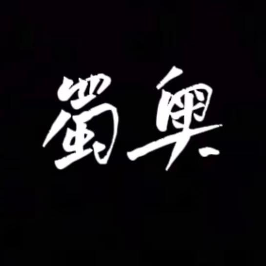 成都蜀奥二手车