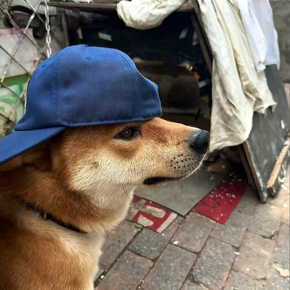 绘画