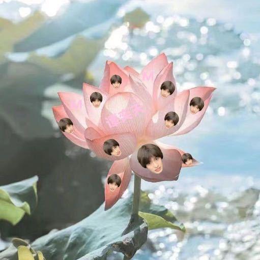 椰甜荷花酥