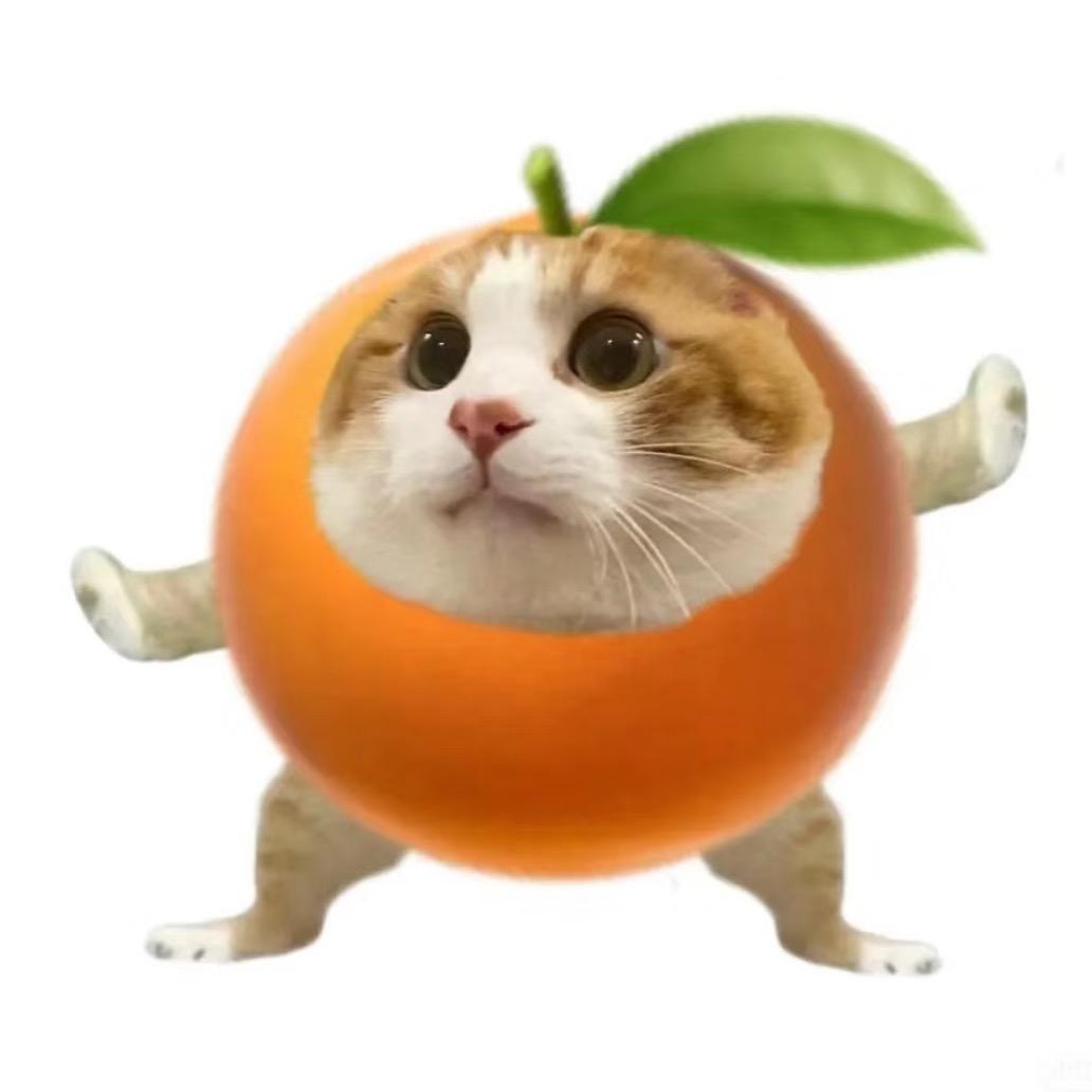 拾