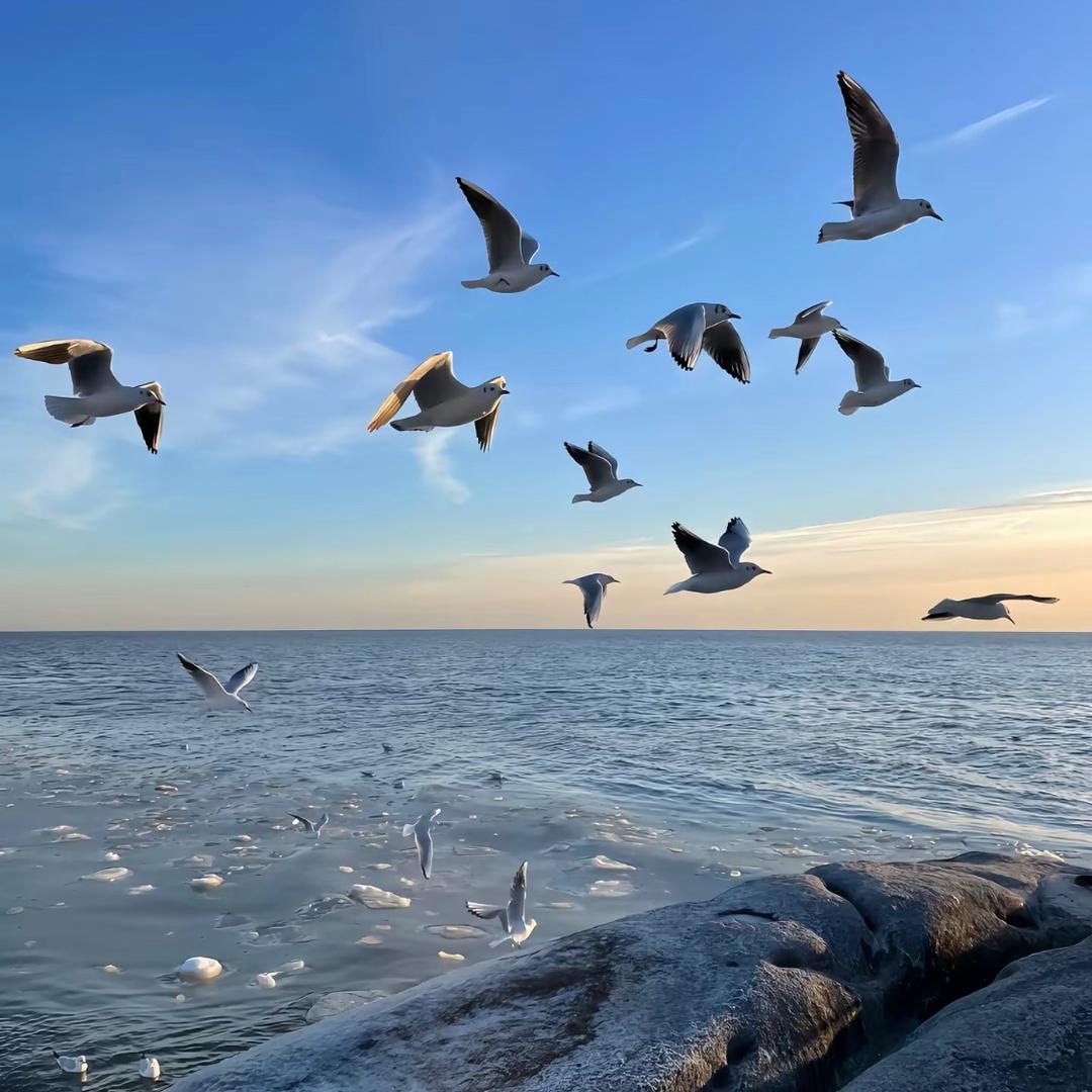 半眠島*（约课版）