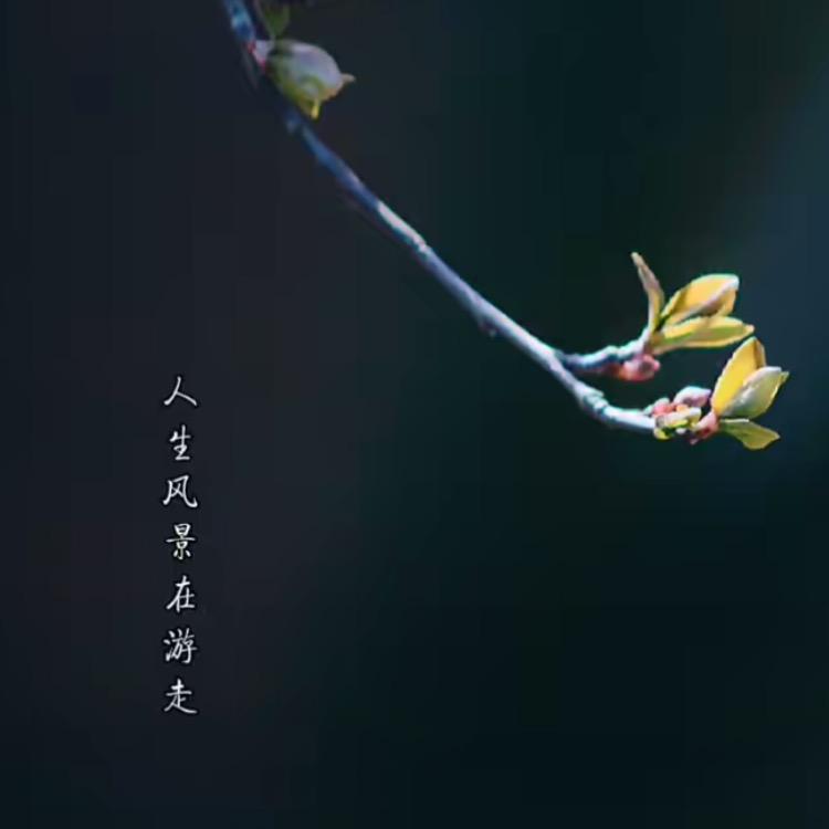 凌仔