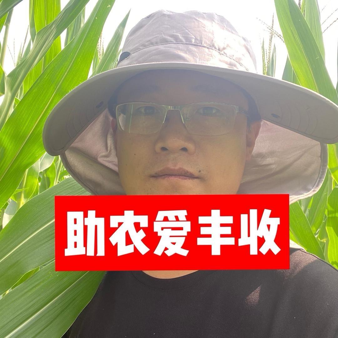 一起回种地吧(诺普信)