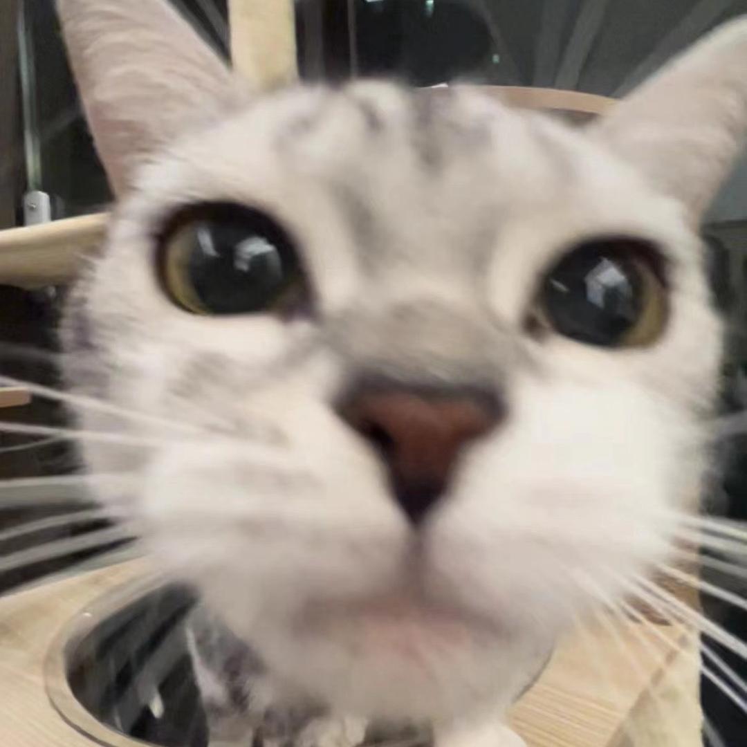 思思（西西里订台组局版