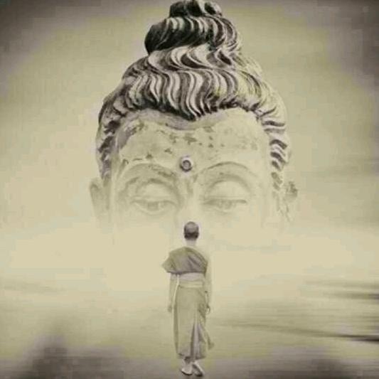 半个手艺人🔥田秀