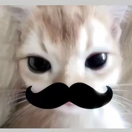 77
