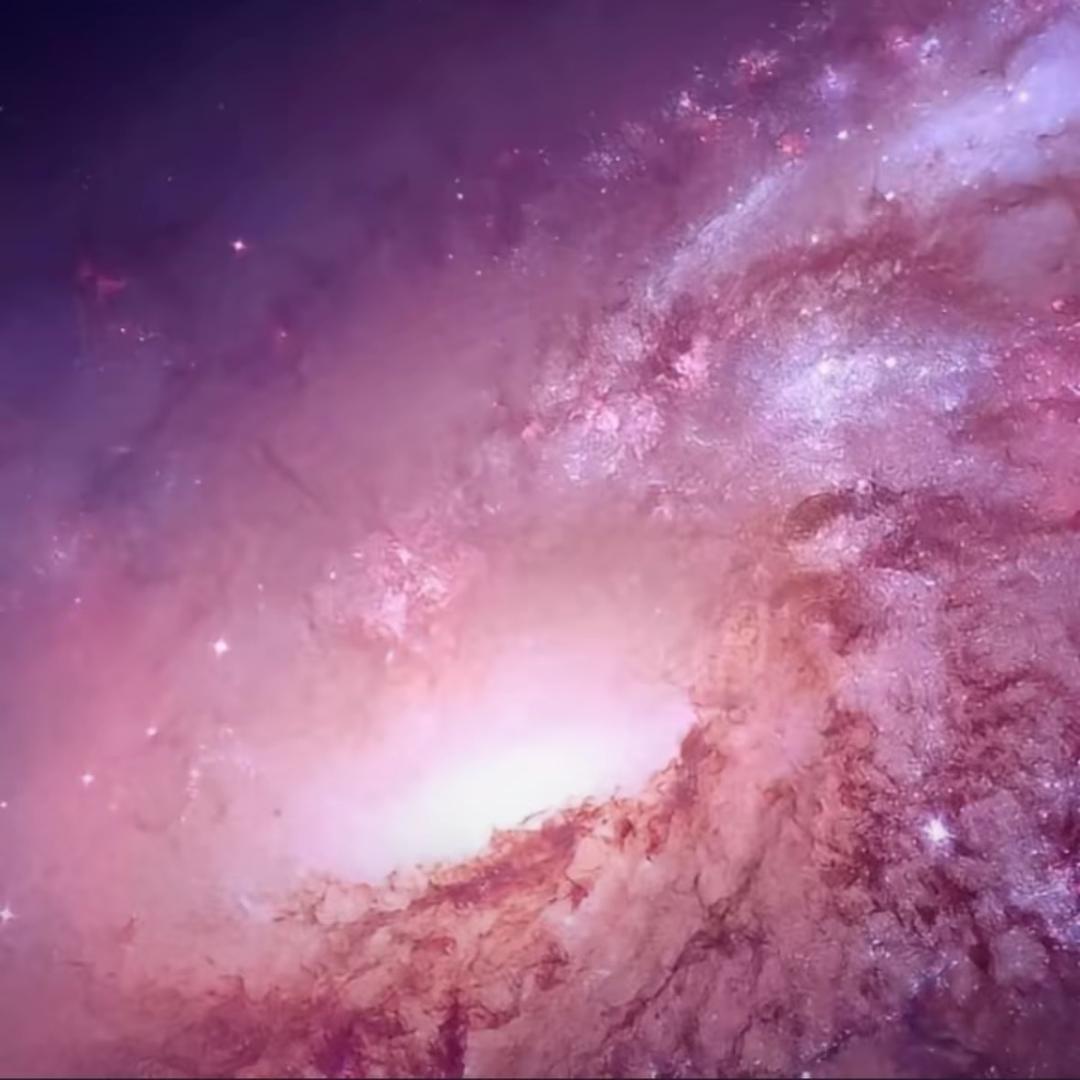 每天睁眼就是吃