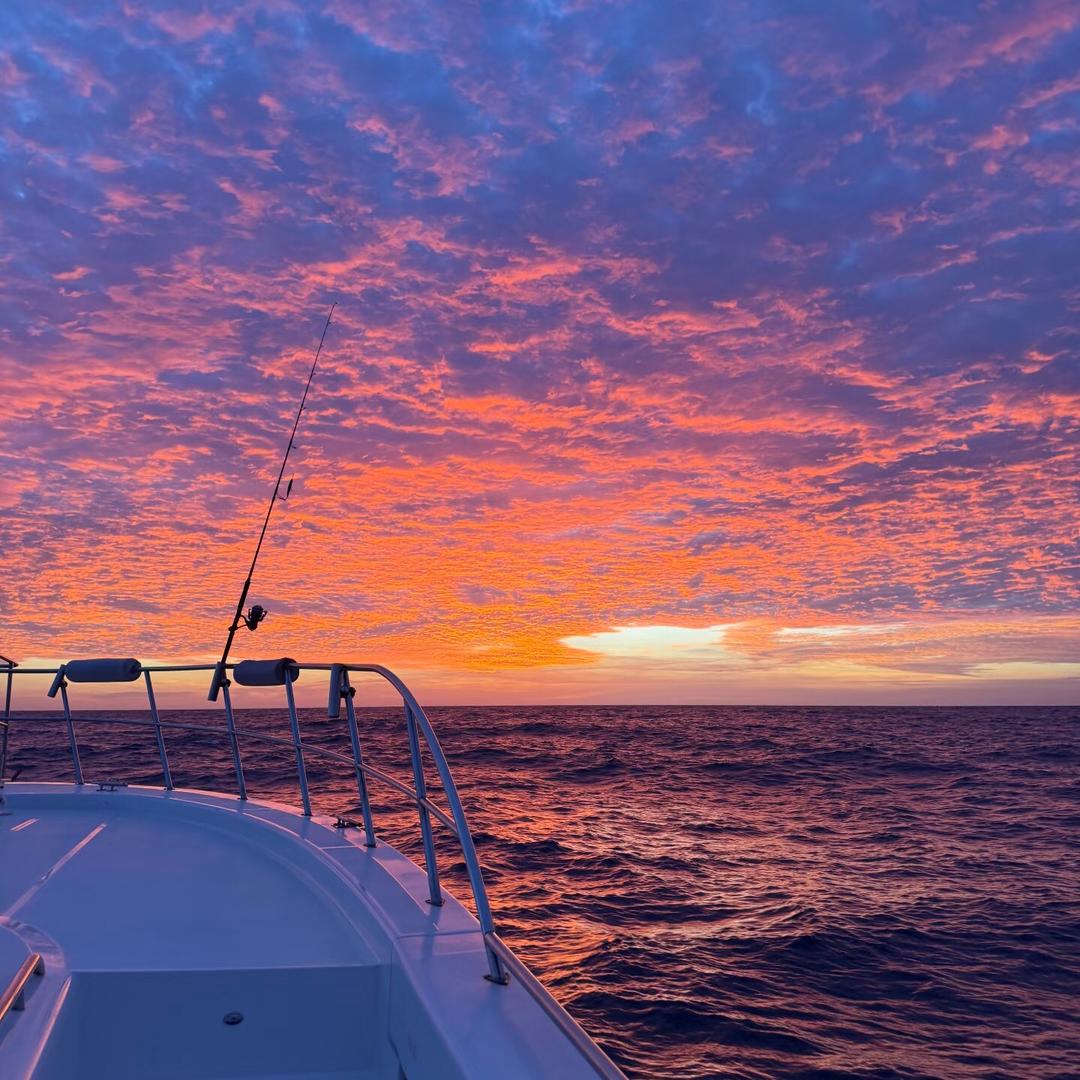 ❀ ㊖ ⁽⁽ଘ( ˙꒳˙ )ଓ⁾⁾๑ᵒᵏ