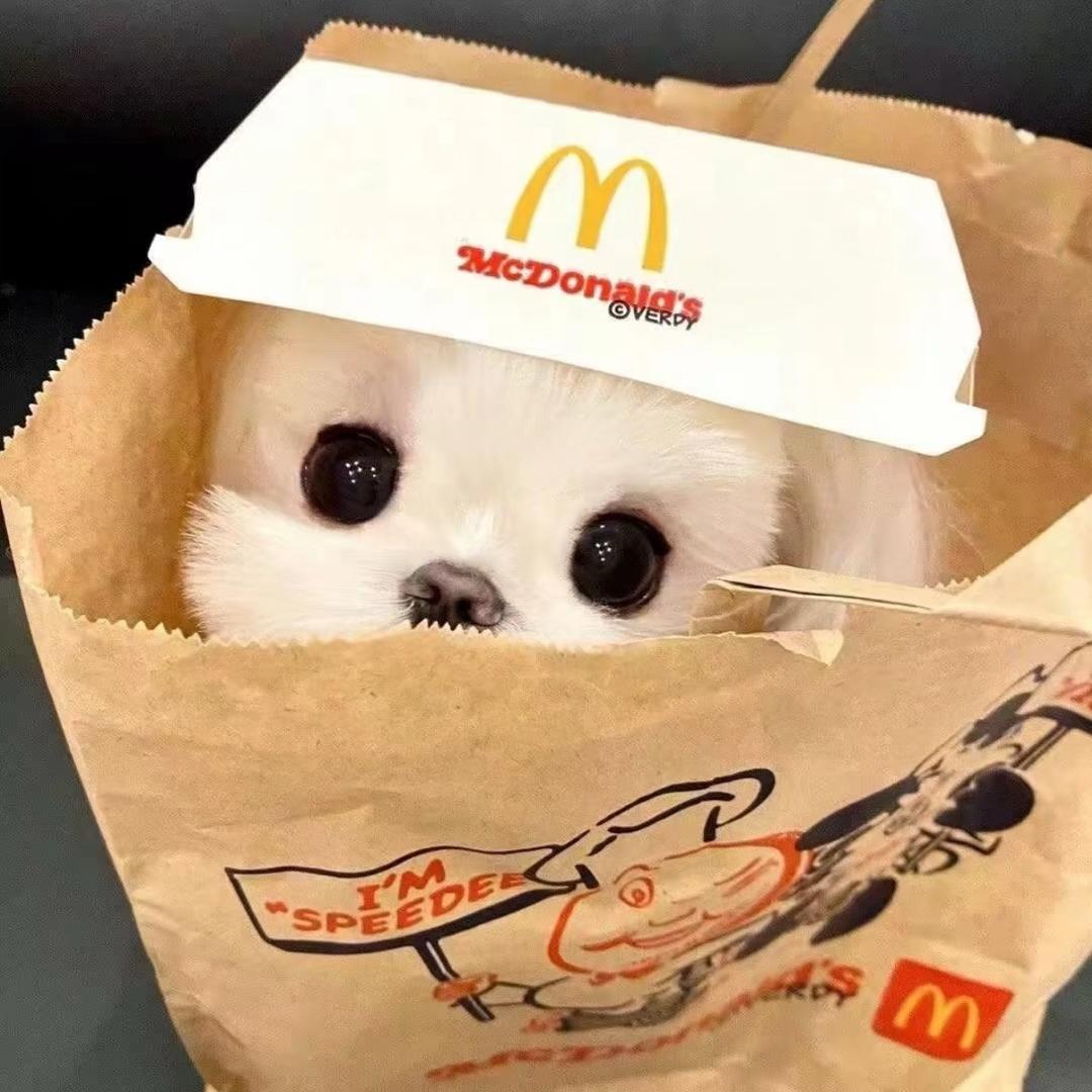 Haiiau _