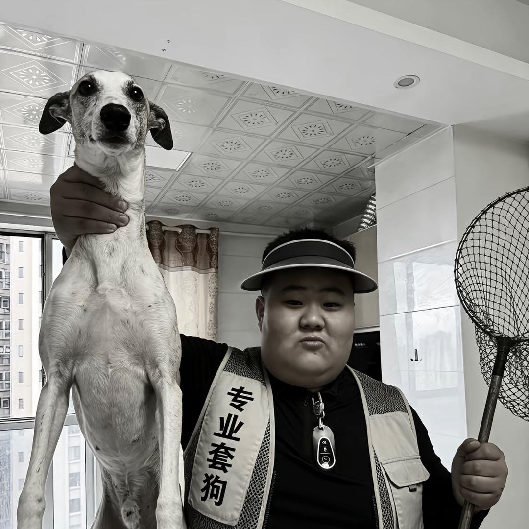 专业套狗（杰）