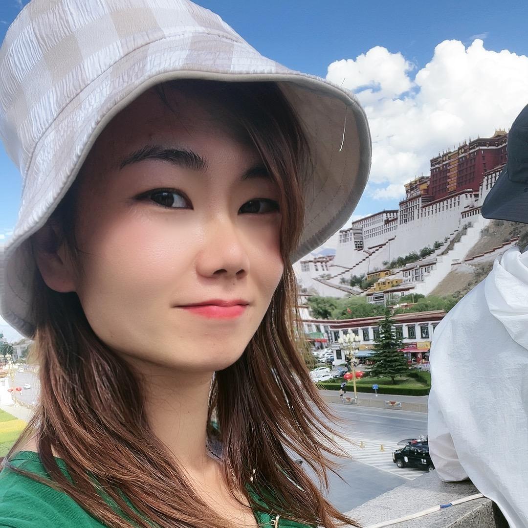 海豹  大车小车
