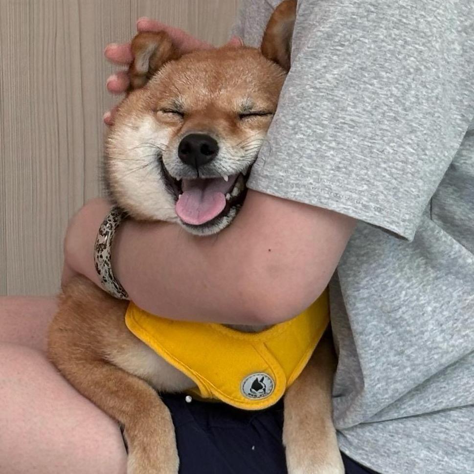 迪斯尼再逃小蟹🦁