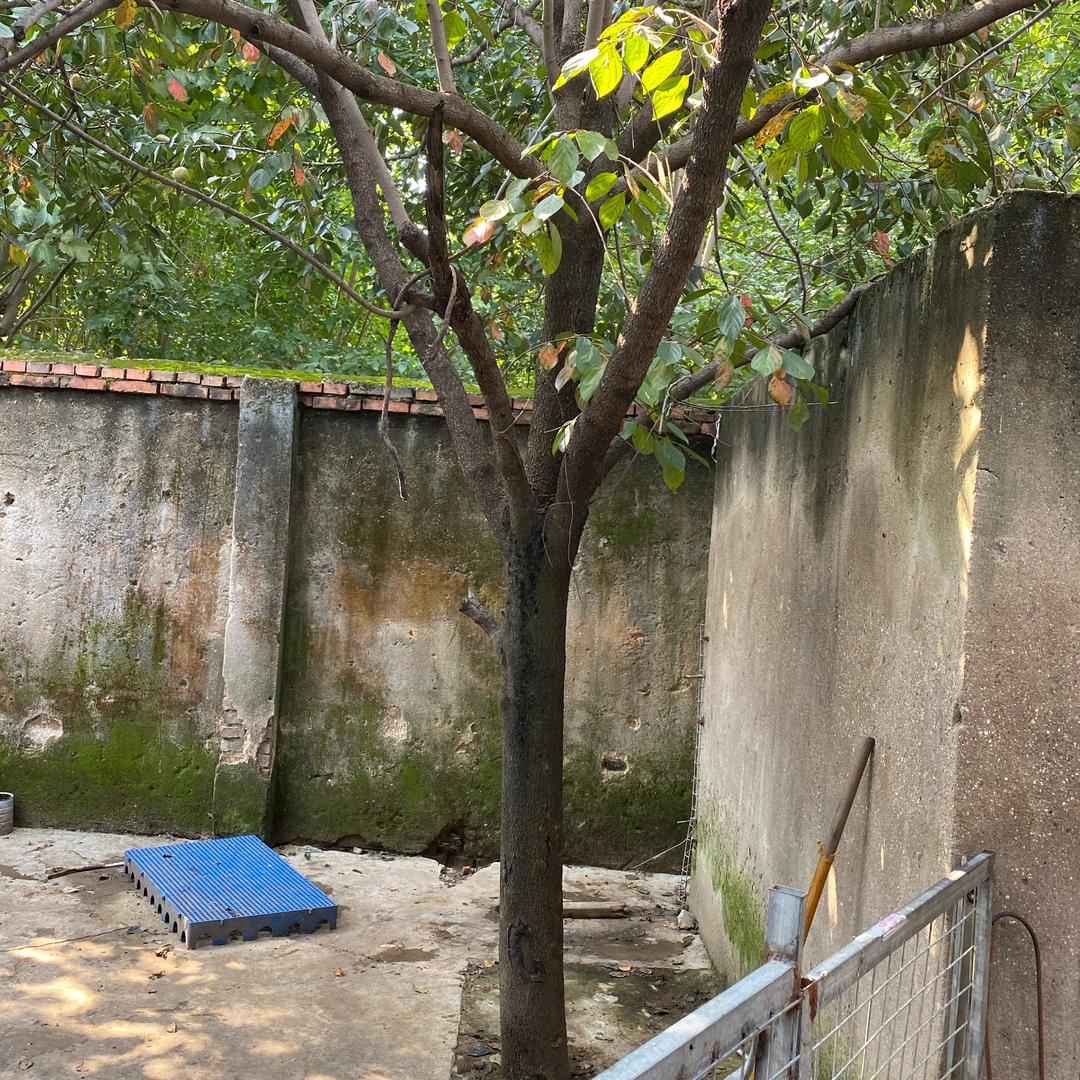 幸福的日子在现在