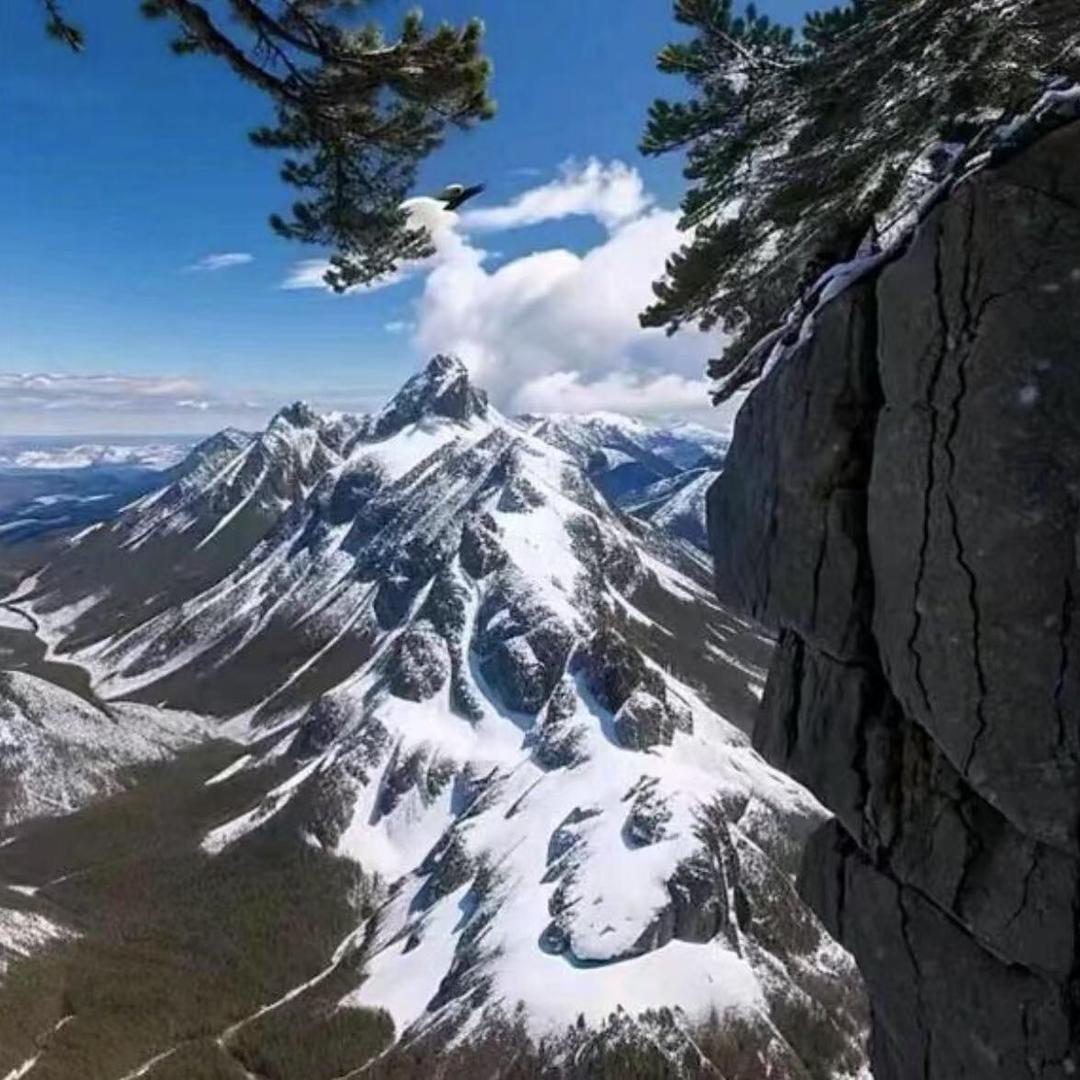 ↜晴ཻ̥晴᷃ൢ修ེ༙金ྀ༙槍̨⃐llıl