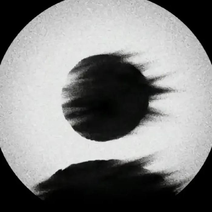 a孤独的狼1•🐣