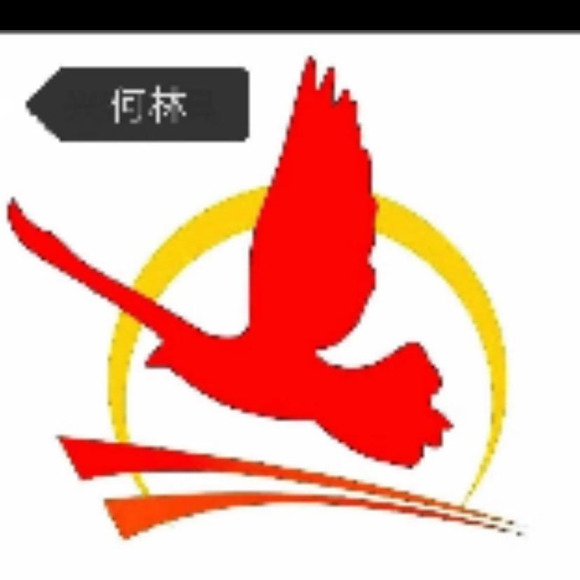 龙腾四海一何教练