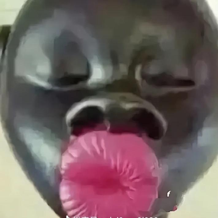 大嘴巴子雷死你💋